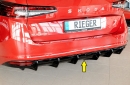 Rieger Heckeinsatz